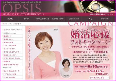 株式会社オプシス