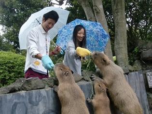 イベント