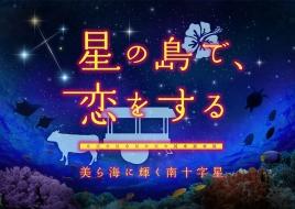 星の島で恋をする