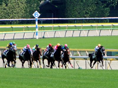 競馬RUN