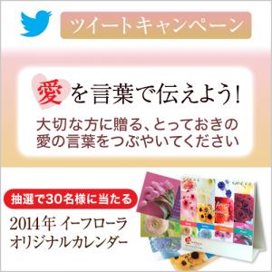 イーフローラ