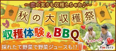 畑コン
